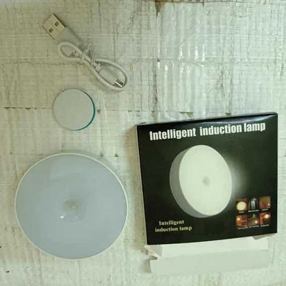 LED Intelligent Human Induction Night Lamp